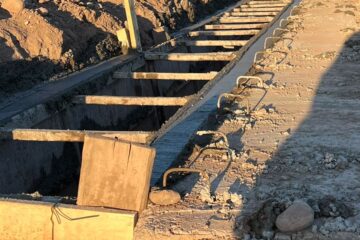 WhatsApp Image 2023-12-04 at 08.37.02