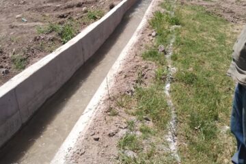 WhatsApp Image 2023-12-04 at 08.37.06